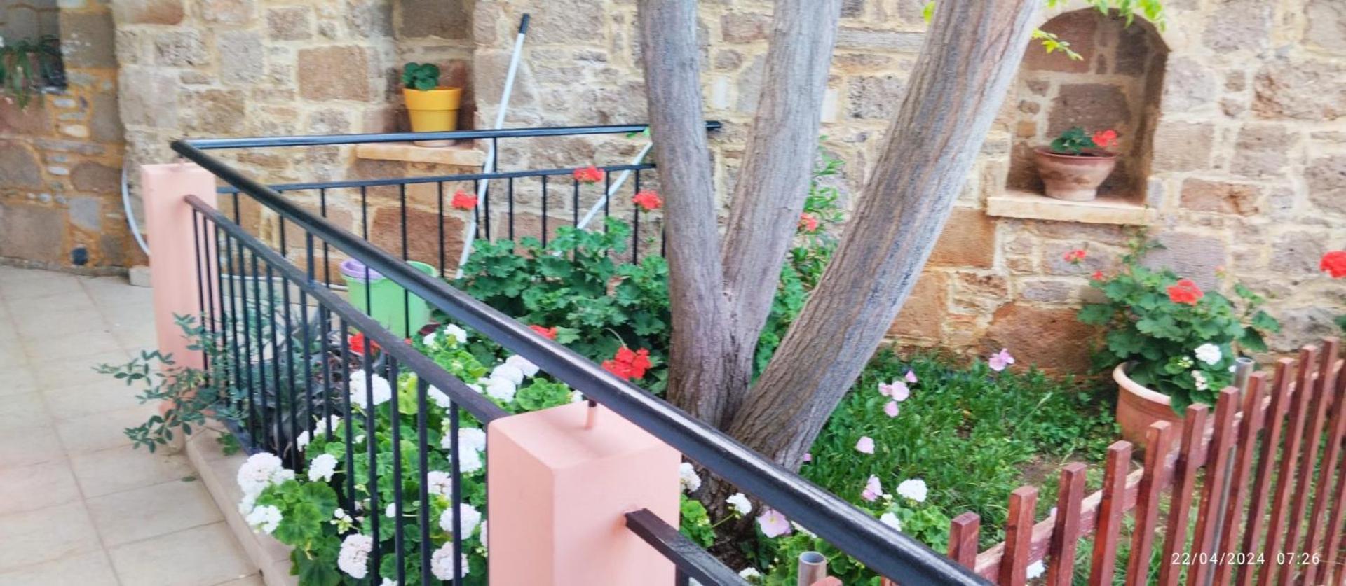 Riza Falasarna Apartments Dış mekan fotoğraf